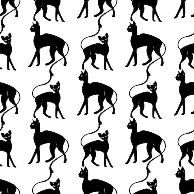 Seamless pattern with a cat. Mystical pattern. Black cat, halloween, Sun, stars, moon, moon phases.