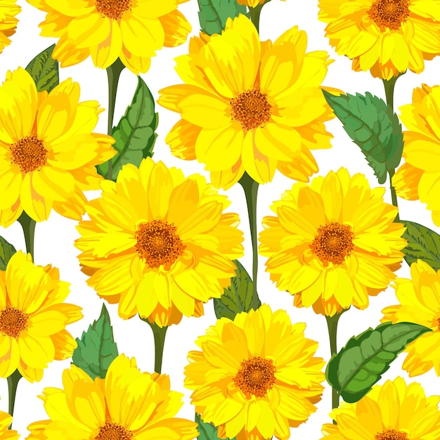 Seamless pattern with chrysanthemums flowers Vector floral set