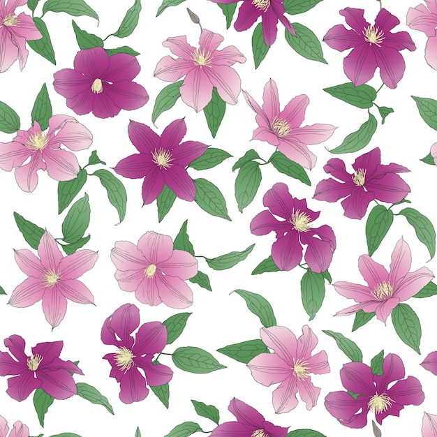 Seamless pattern with Clematis flowers.