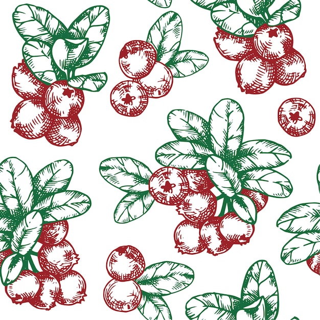 Vector seamless pattern with cranberries vector print in sketch style