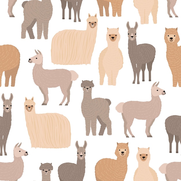 Seamless pattern with cute llamas and alpacas on white background. Backdrop with funny wild wooly domestic animals. Colorful vector illustration in flat cartoon style for fabric print, wallpaper.