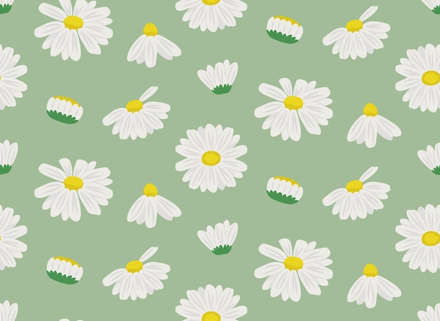 Seamless pattern with daisies