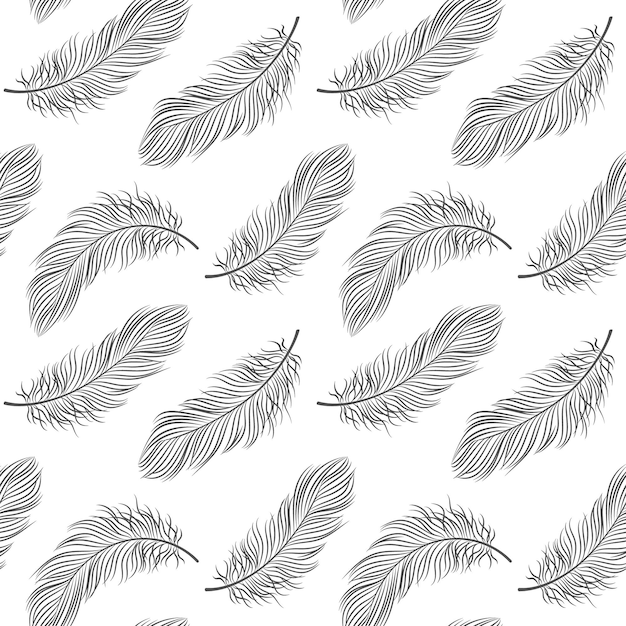 Seamless pattern with feathers on a white background.