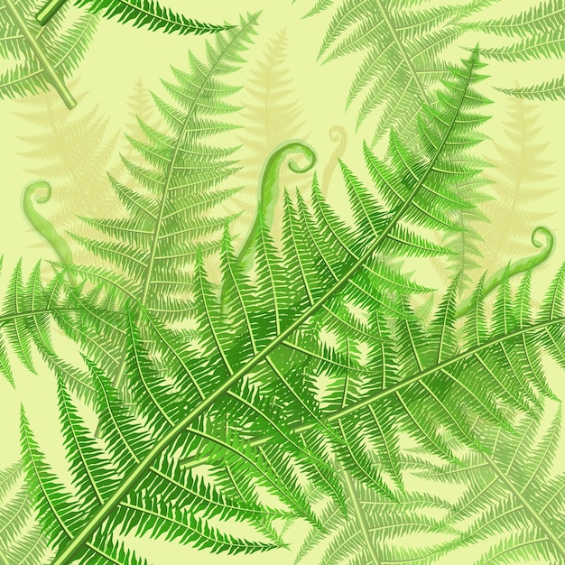 Vector seamless pattern with green fern leaves