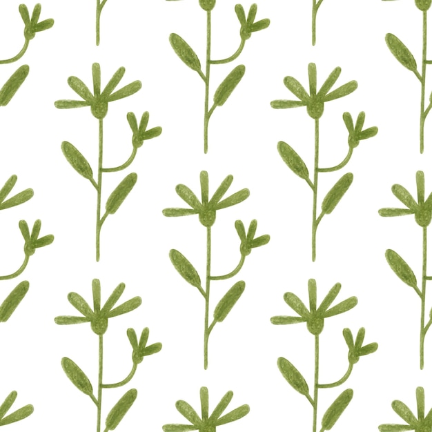 Seamless pattern with green herbs