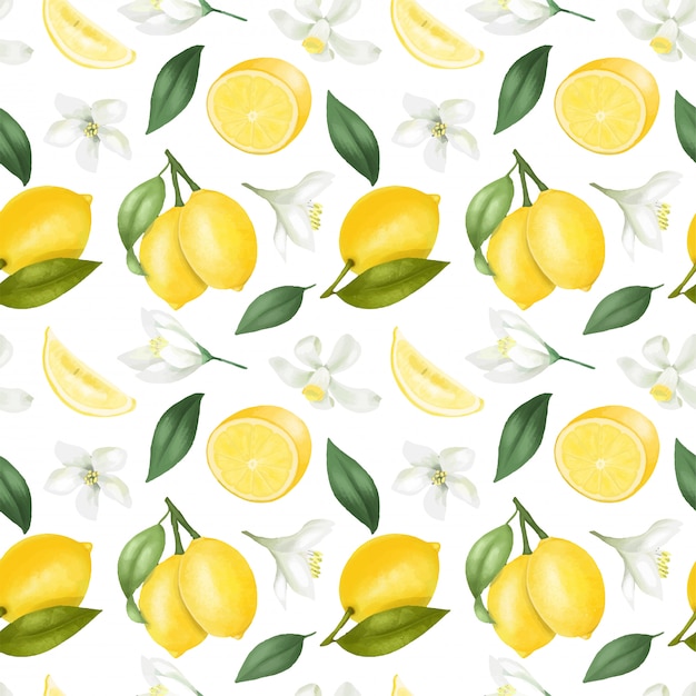 Seamless pattern with hand drawn lemons and lemon flowers on a white