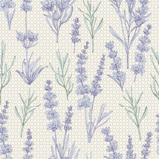 Seamless pattern with handdrawn sketch of cute Lavender flower bouquets France Provence retro style for romantic design concept rustic digital paper Natural lavander Vintage vector