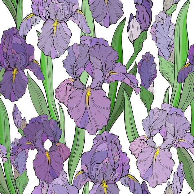 Seamless pattern with iris flowers and leaves Spring floral print hand drawn plants Vector illustration