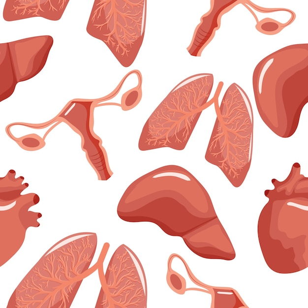 seamless pattern with medical outline of internal human healthy organs namely liver lungs