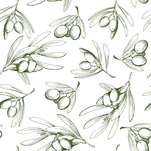 Seamless pattern with olive branch. Drawn by hand