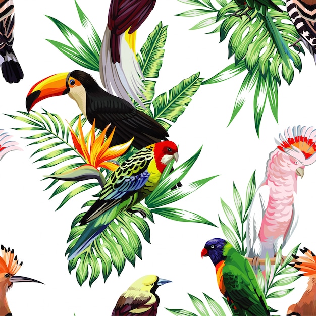 Seamless pattern with Parrot macaw and toucan on branch