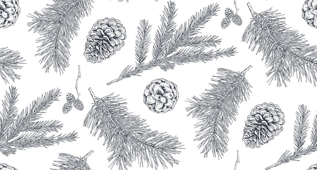 Seamless pattern with pine cones and branches Hand drawn sketch vector illustration