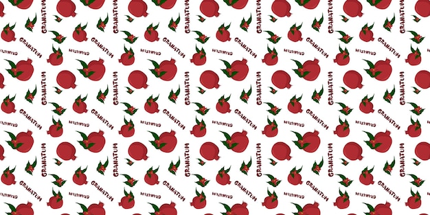 Seamless pattern with pomegranate fruit