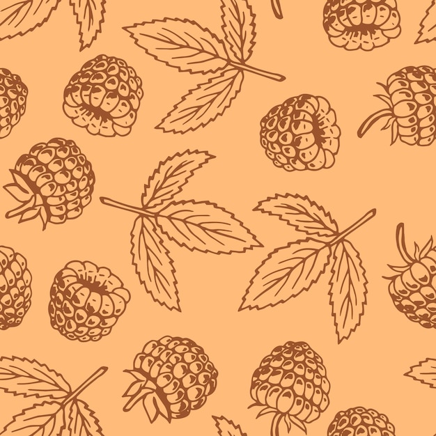 Seamless pattern with raspberry Hand drawn illustration converted to vector