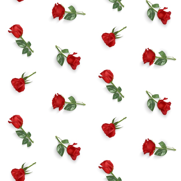 Seamless pattern with red rose branches on a white background