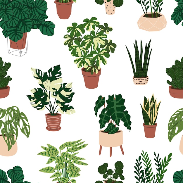 Seamless pattern with room plants in the pots Paper and textile decor Interior design Modern Home plants Flat style in Vector illustration