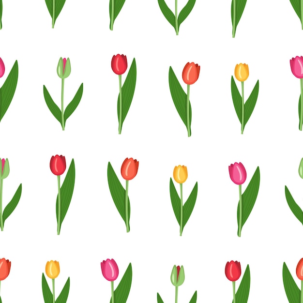 Seamless pattern with spring flowers of tulips