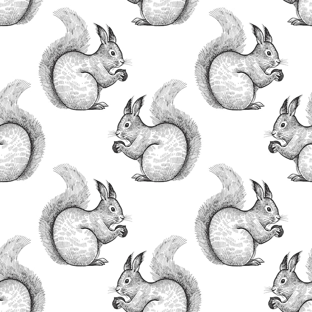 Seamless pattern with Squirrel