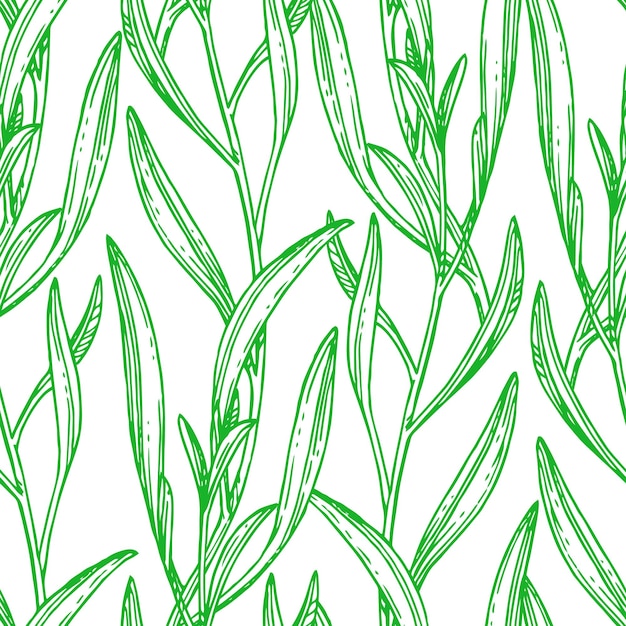 Seamless pattern with tarragon. Summer or spring background. Hand drawn vector illustration.