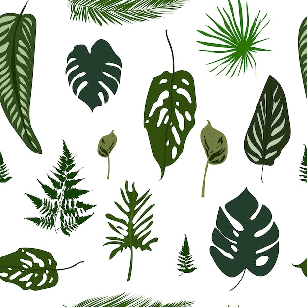 seamless pattern with tropical leaves palms monster fern and others isolated on whiteVector