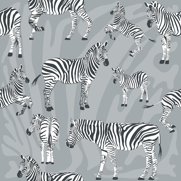 Seamless pattern with wild zebra