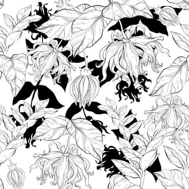 Seamless pattern with yellow ylang ylang flowers and leaves Black and white