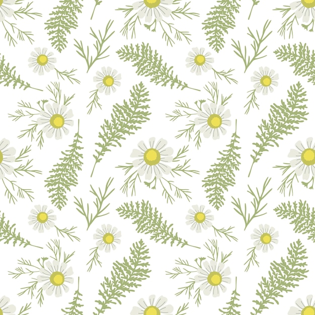 Vector seamless pattern ws chamomile flowers fern fronds