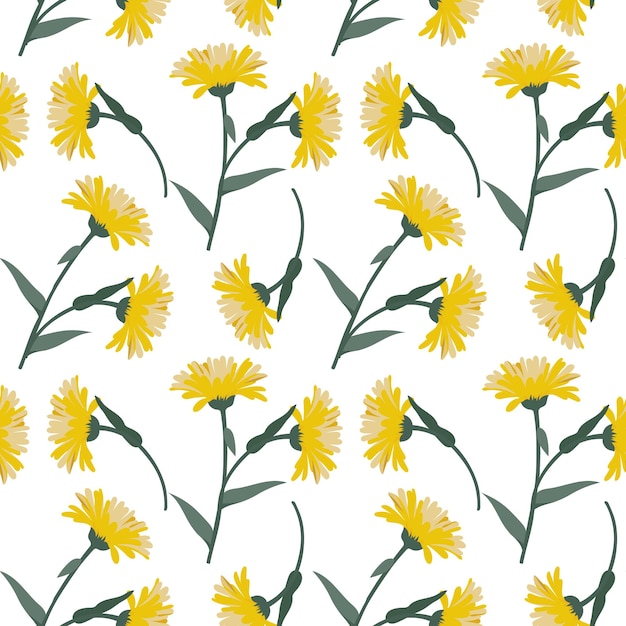 Seamless pattern yellow echinacea flowers with leaves on a white background Print textile