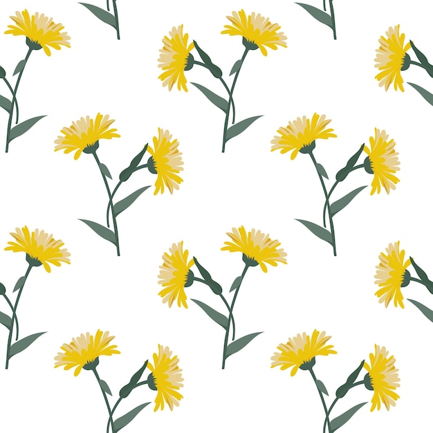 Seamless pattern yellow echinacea flowers with leaves on a white background Print textile