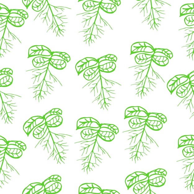 Seamless scandinavian pattern with cute doodle outline green sprouts with roots Vector illustration