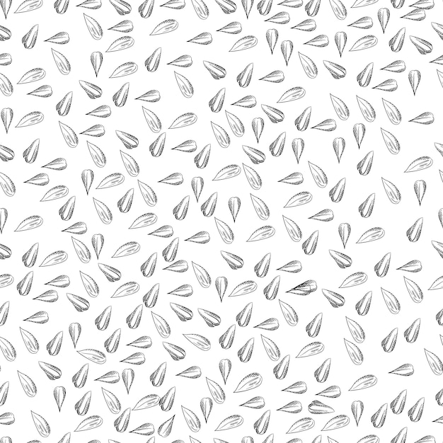 Seamless  sunflower seeds pattern. Sketch sunflower seeds.