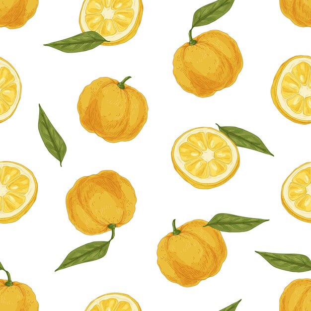 Seamless tropical pattern with yuzu and leaves on white background. Endless repeatable texture with yellow Japanese citrus fruits for wrapping. Colored hand-drawn vector illustration for printing.