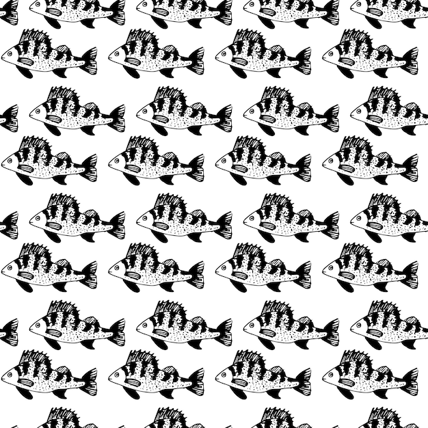 Seamless vector black pattern of ruff fish