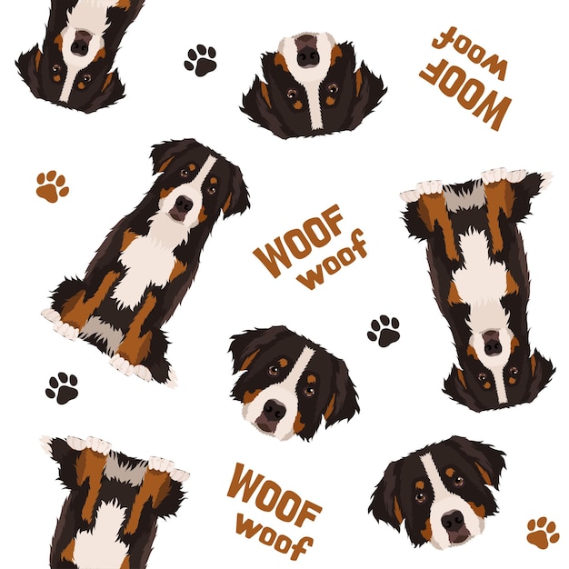 Seamless vector pattern Bernese mountain dog Flat design