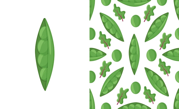 Seamless vector pattern with fresh sweet organic green pea with leaves and herb