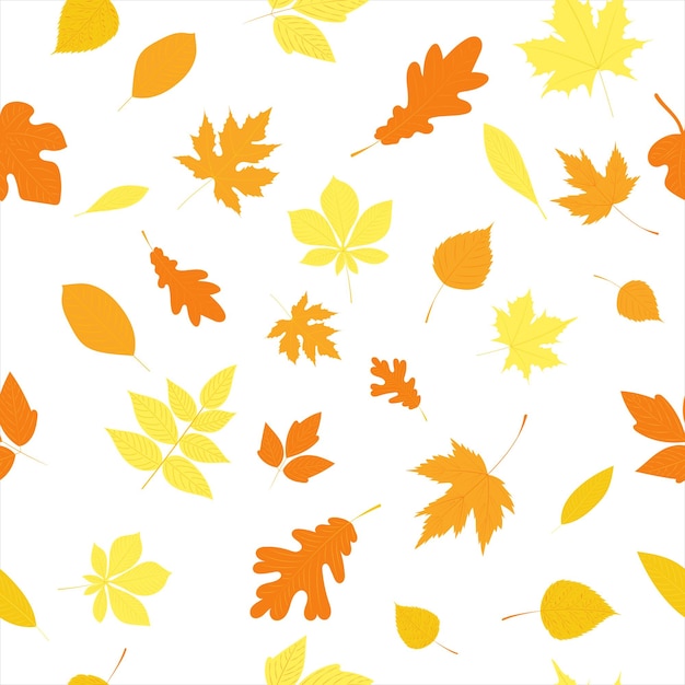 Seamless white background with autumn leaves vector