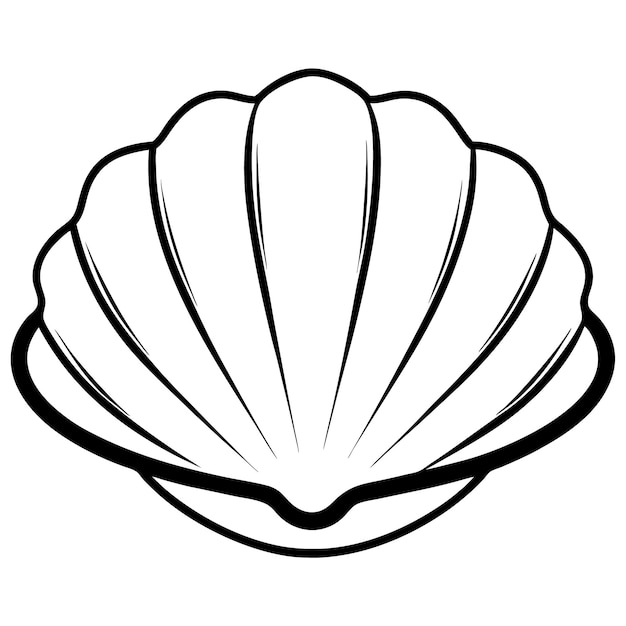 Seashell clipart Vector line art illustration