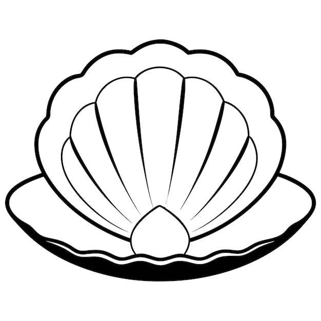 Seashell clipart Vector line art illustration