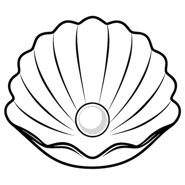 Vector seashell clipart vector line art illustration