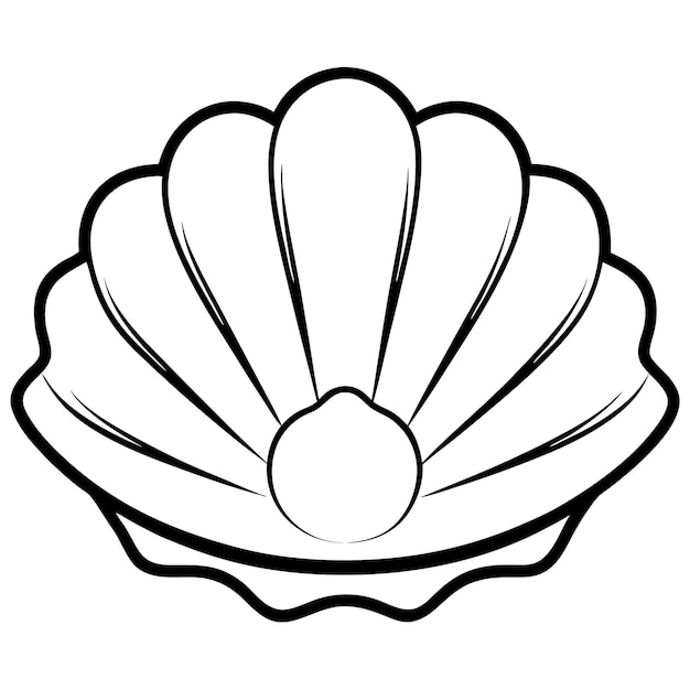 Seashell clipart Vector line art illustration