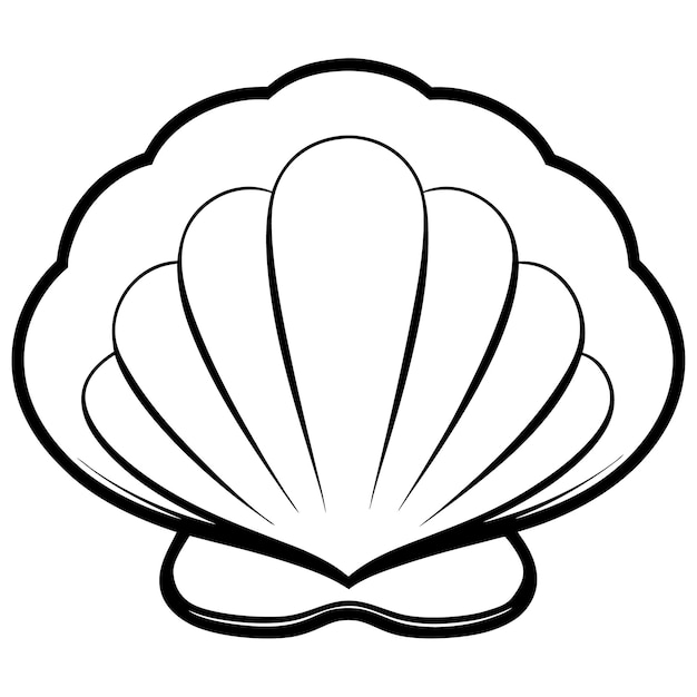 Seashell clipart Vector line art illustration