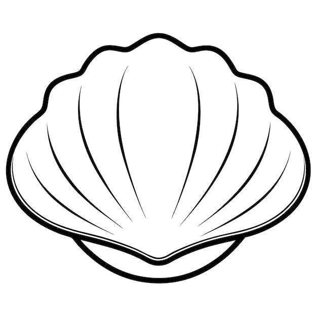 Vector seashell clipart vector line art illustration