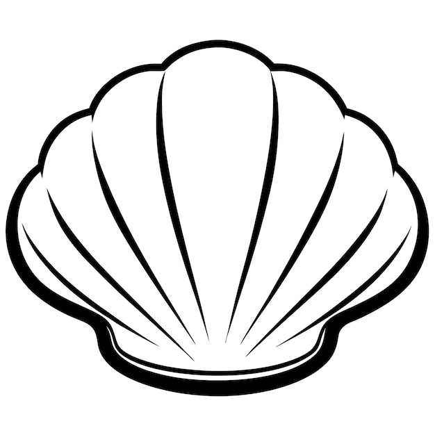 Vector seashell clipart vector line art illustration