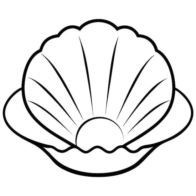 Seashell clipart Vector line art illustration