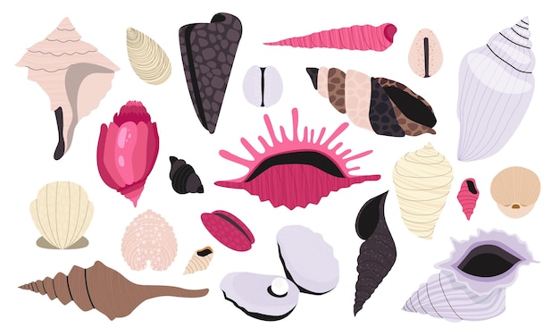 Seashell collection Cartoon shellfish and coral summer beach and ocean diving concept mollusk icons flat style Vector isolated set Underwater exotic elements of various shapes and colors