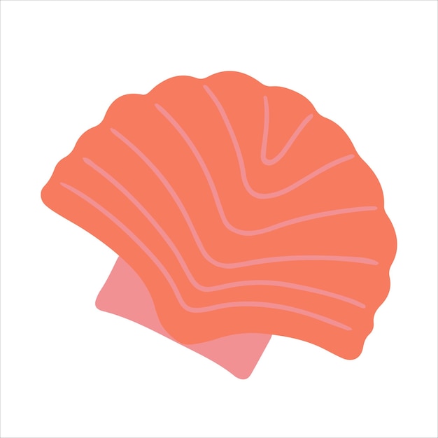 Seashell hand drawn doodle style Vector illustration