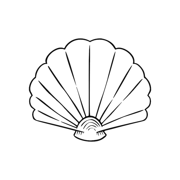 Seashell thin line icon, animal and underwater