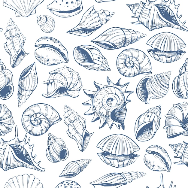 Seashells pattern sketch style set of vector illustrations