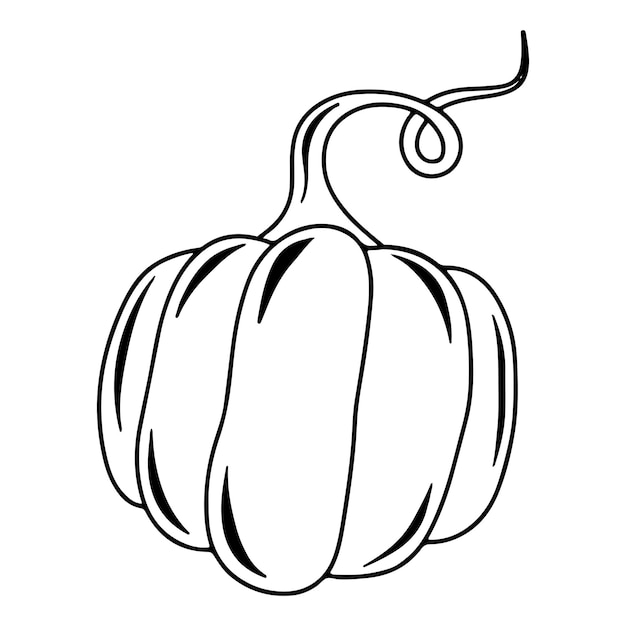 Seasonal autumn outline black pumpkin vector isolated illustration