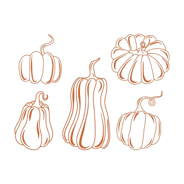 Seasonal autumn outline black pumpkin vector isolated illustration